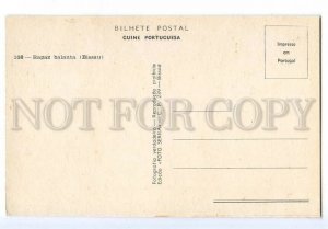 497251 Portuguese Guinea local types boy making basket Foto Serra Bissau