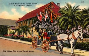 Florida St Augustine Horse and Carriage At Oldest House In The United States