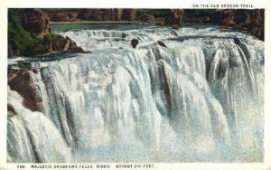 Majestic Shoshone Falls - Twin Falls, Idaho ID  