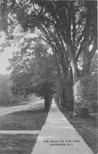 1920s Cazenovia New York Walk to Pier Miller Albertype Postcard 25-11515