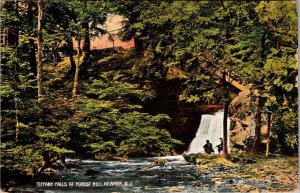 Tiffany Falls at Forest Hill, Newark NJ Vintage Postcard D03
