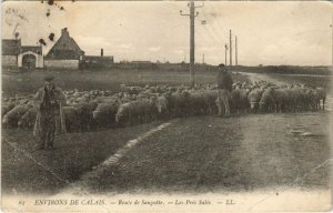 CPA CALAIS - Route de SANGATTE-Les pres Salés (139734)