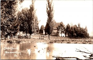 RPPC, View of Duck Pond, Newmanstown PA Vintage Postcard T42