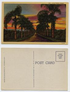 (227) Old postcard, A California sunset