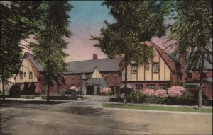 St. Clair MI St. Clair Inn Albertype Hand Colored Vintage Postcard