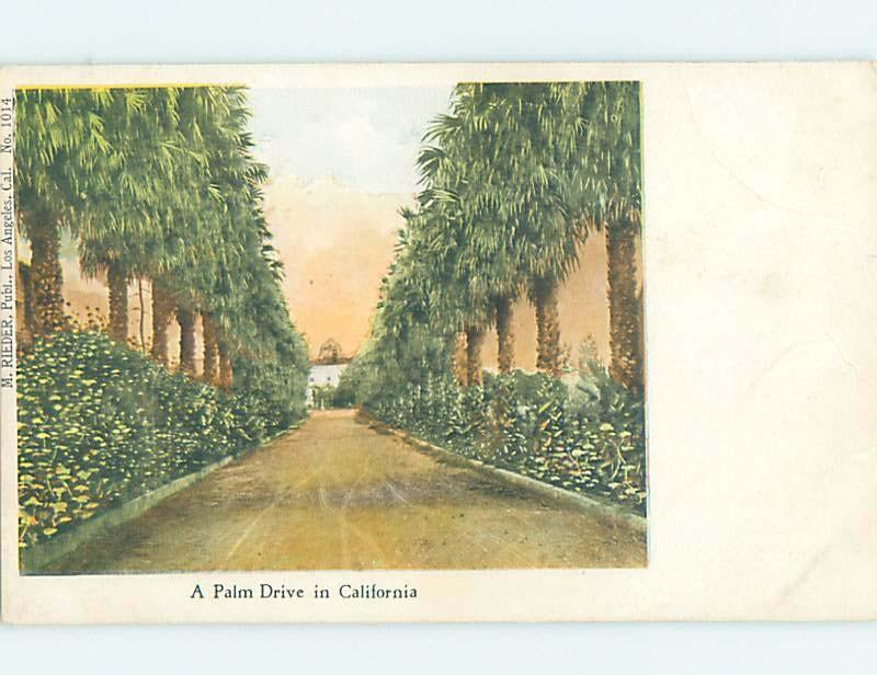 Pre-1907 STREET SCENE State Of California CA W2406