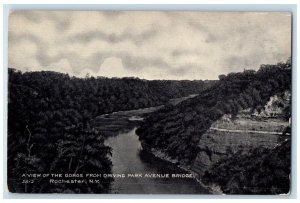 c1910 A View of Gorge from Driving Park Avenue Bridge Rochester NY Postcard