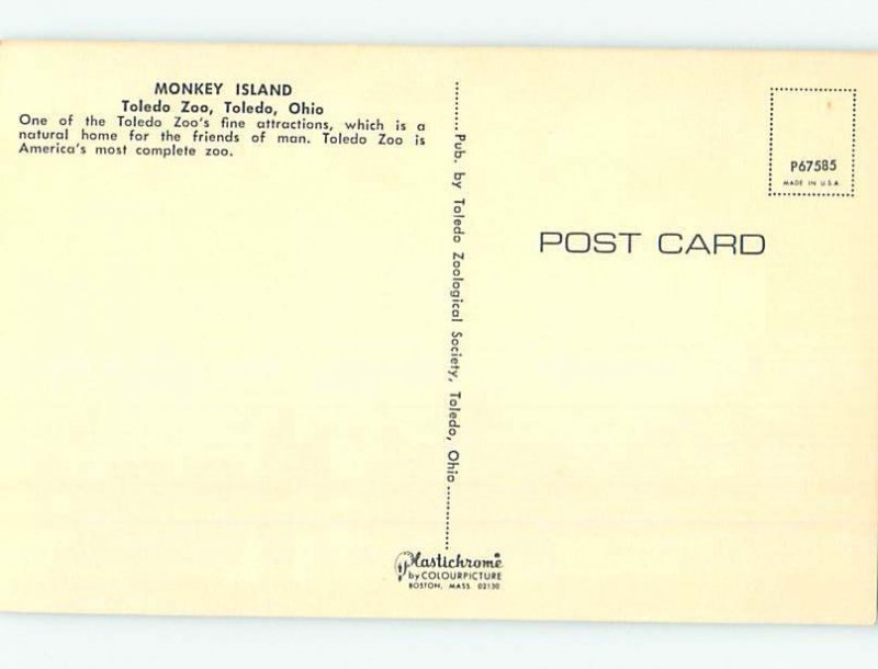 Chrome ZOO SCENE Toledo Ohio OH AG1668