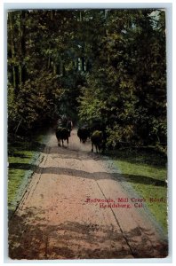 1915 Redwoods Milll Creek Road Healdsburg California CA Posted Vintage Postcard