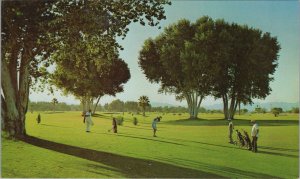 c1970s municipal golf course Needles California Colorado River postcard B352 