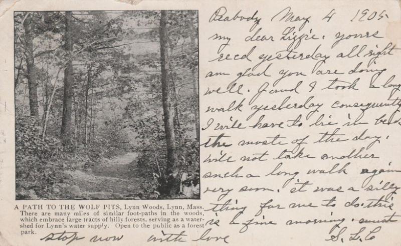 Path to Wolf Pits in Lynn Woods Lynn Essex County MA Massachusetts pm 1905 UDB