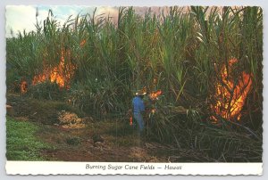 State View~Burning Sugar Cane Fields In Hawaii~Continental Postcard