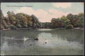 Gloucestershire Postcard - Swans on Lake, Pittville Gardens, Cheltenham RS2048