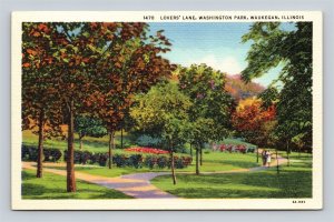 Waukegan IL Illinois Lovers Lane Washington Park Postcard