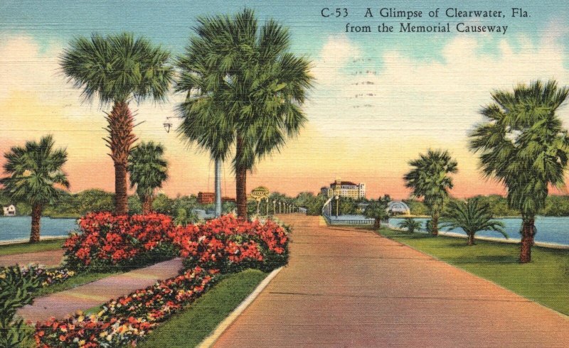 Vintage Postcards 1941 Glimpse of Clearwater From The Memorial Causeway Florida