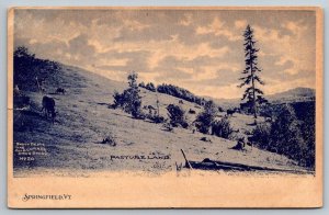 Vintage Vermont Postcard - Springfield  RPO Railway Post Office  1910