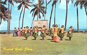 Kodak Hula Show Hawaii Grass Skirts Leis Palm Trees Color Postcard