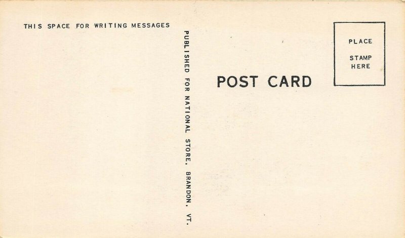 Brandon Vermont 1940s Postcard Park Street