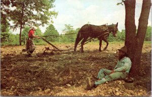 Postcard MO Ozarks humor - Hillbilly style woman plowing man relaxing