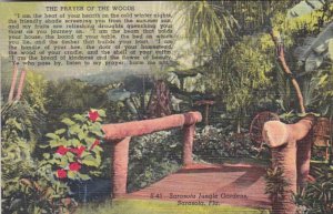 Florida Sarasota The Prayer Of The Woods Sarasota Jungle Gardens Curteich