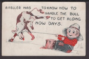 Humour - A Feller Has To Know How To Handle The Bull To Get Along Now Days ~ DB
