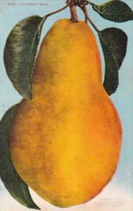 Bartlett Pear Fruit by Edward Mitchell