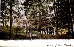 Postcard Ontario Galt A Picnic in Victoria Park Warwick Bros. & Rutter 1910 K83