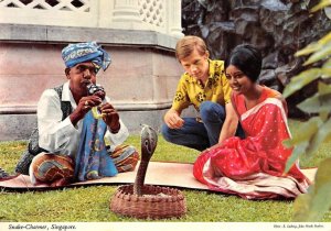 SNAKE CHARMER Singapore Cobra c1960s 4x6 Chrome Vintage Postcard