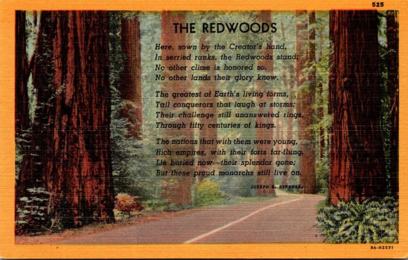 California Poem Of The Redwoods