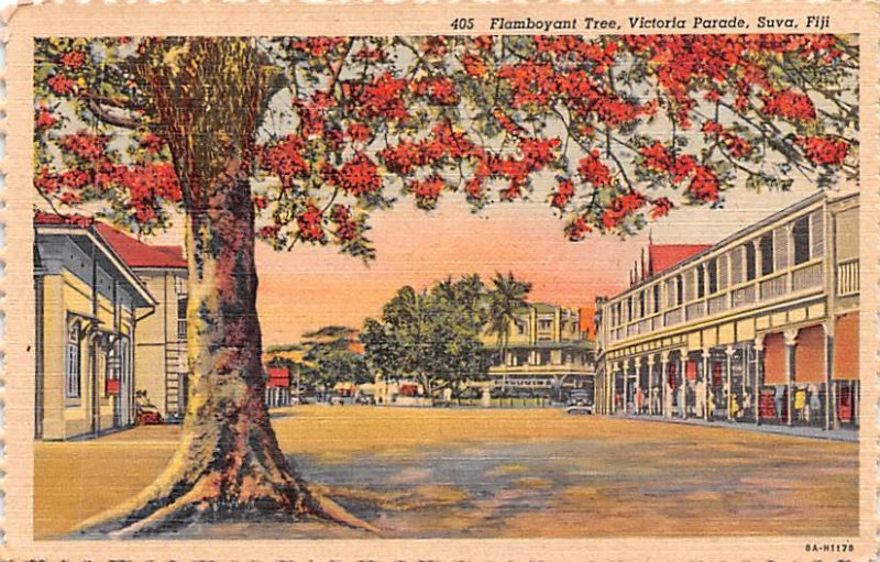 Flamboyant Tree, Victoria Parade Suva Fiji Writing on back 