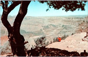 Desert View of Grand Canyon Arizona Postcard