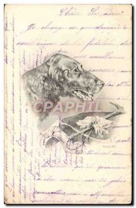 Old Postcard Fantasy Illustrator Dog