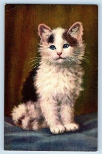 Stehli Postcard Cute Cat White Black Haired Artist Signed Animal c1930's Vintage