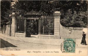 CPA MONTPELLIER - Le Jardin des Plantes (511249)