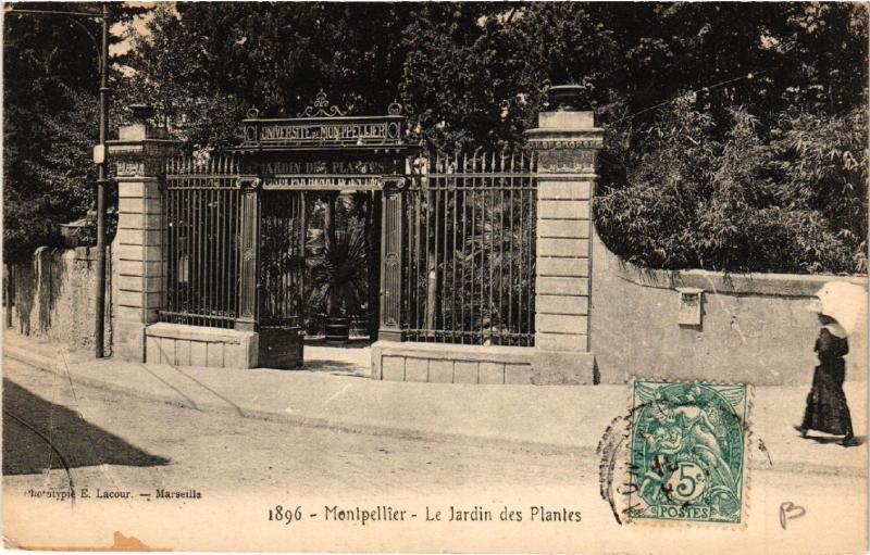 CPA MONTPELLIER - Le Jardin des Plantes (511249)