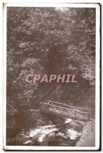 Old Postcard Gimel Correze Pare Vuillier undergrowth on water