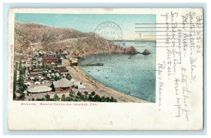 1903 Avalon, CA. Aerial View of Santa Catalina Islands in CA Antique Postcard 