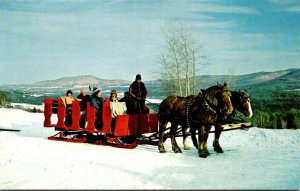 Vermont Stowe Trapp Family Lodge Horse Drawn Sleigh Ride