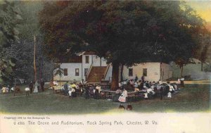 The Grove & Auditorium Rock Spring Park Chester West Virginia 1905c postcard