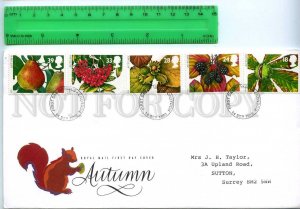 242197 UK 1993 year AUTUMN berries and fruits set FDC