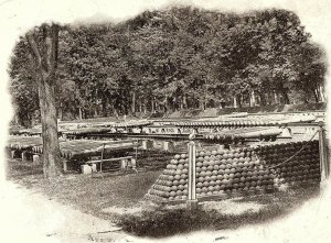 C.1898 Trophies of War, Rock Island Arsenal, Iowa Vintage Postcard P135