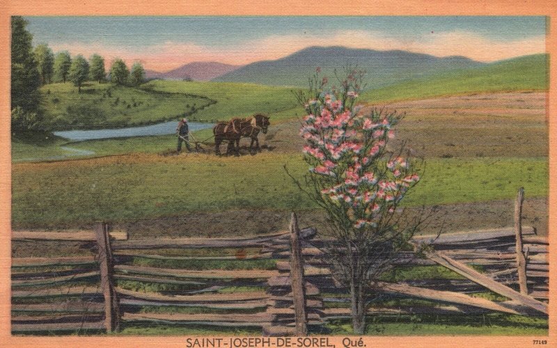 Vintage Postcard St. Joseph De Sorel Farming Land Countryside Quebec Canada