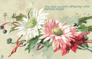Vintage Postcard Pink and White Daisies Large Print Flowers Time Touch You Gentl