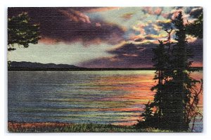 Yellowstone Lake Yellowstone National Park Wyoming Postcard