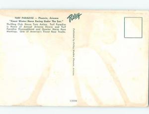 Pre-1980 RACETRACK Phoenix Arizona AZ ho6300