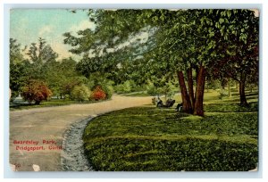 1911 Trees View Beardsley Park, Bridgeport Connecticut Antique Posted Postcard 