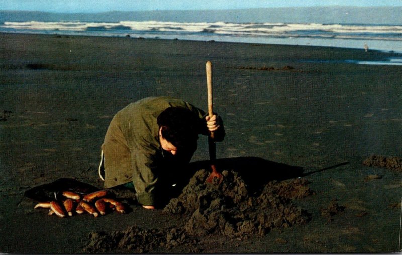 Oregon Clam Digging