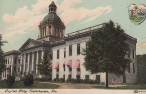 CAPITOL BUILDING TALLAHASSEE FLORIDA POSTCARD (c. 1910)