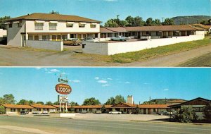SPRINGERVILLE, AZ Arizona  REEDS MOTOR LODGE~Nazar Knight  ROADSIDE  Postcard
