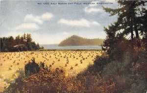 Salt Marsh Oat Field Farming Western Washington 1907 postcard